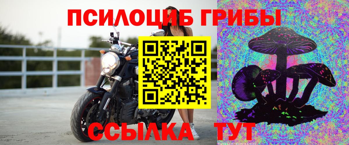 Псилоцибиновые грибы мицелий  Вход с VPN  Обь 